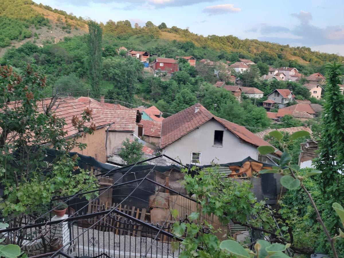 Vila Mir Pirot Ngoại thất bức ảnh