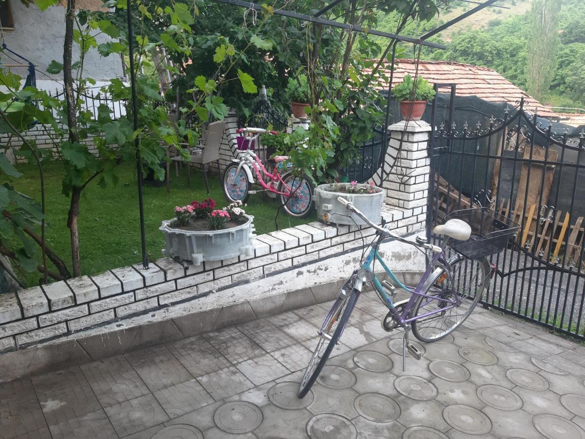Vila Mir Pirot Ngoại thất bức ảnh