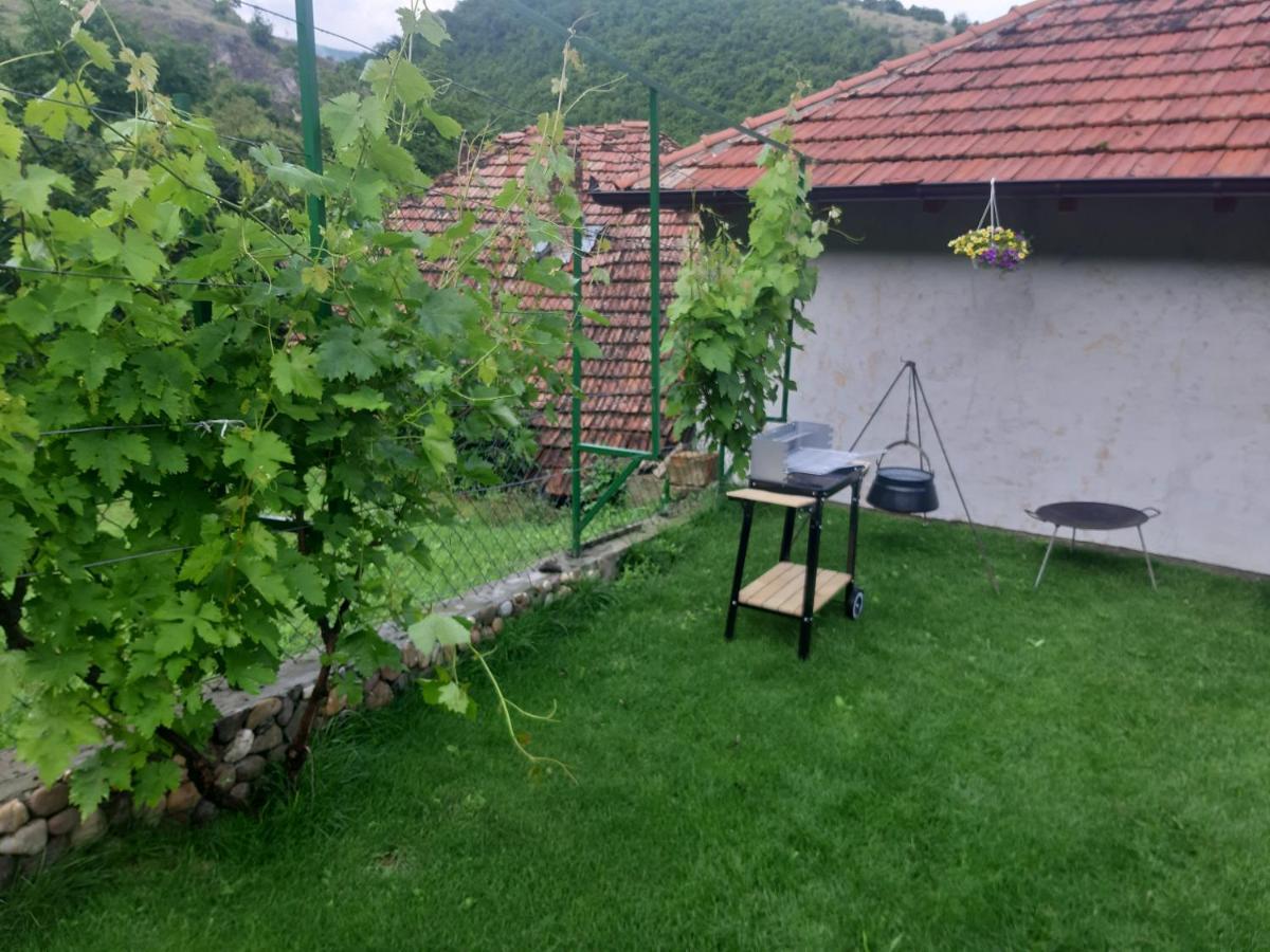 Vila Mir Pirot Ngoại thất bức ảnh